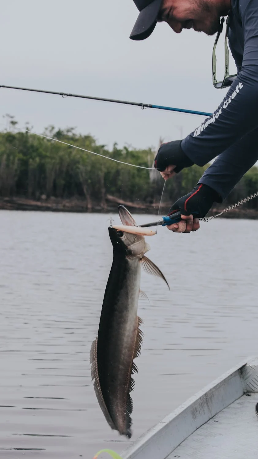 Starter catch